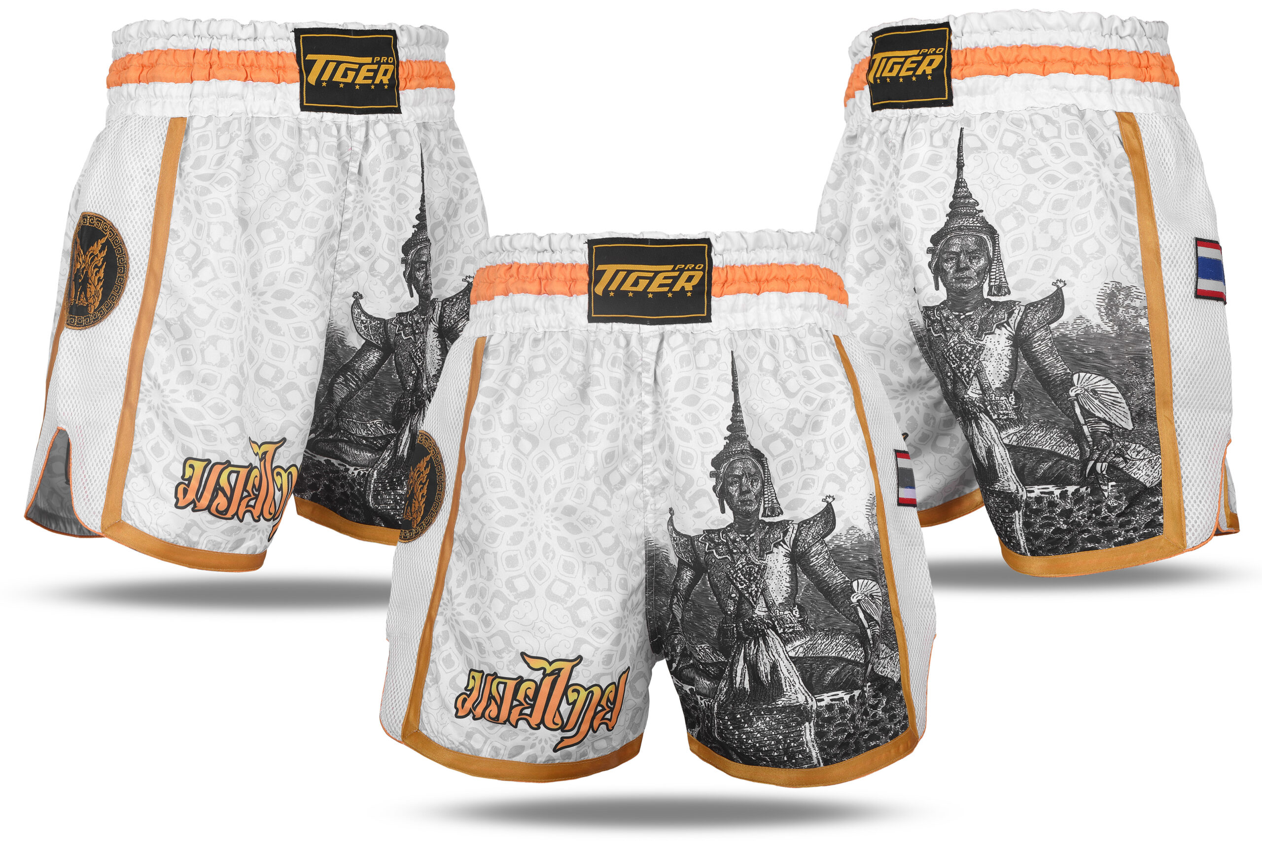Short boxe thai muay thai noir/orange  Muay thai, Tiger muay thai, Thai  boxing shorts